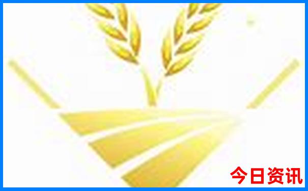 重庆哪儿好玩的地方推荐一下
